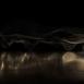 pulse_topology_basel_2022_rlh_03 : Landscape