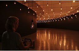 Rafael Lozano-Hemmer: Pulse