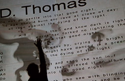 Rafael Lozano-Hemmer: Transition States